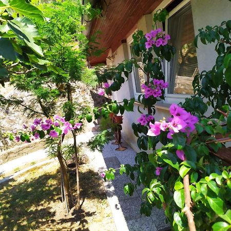 Lili House Apartment Portoroz Exterior photo
