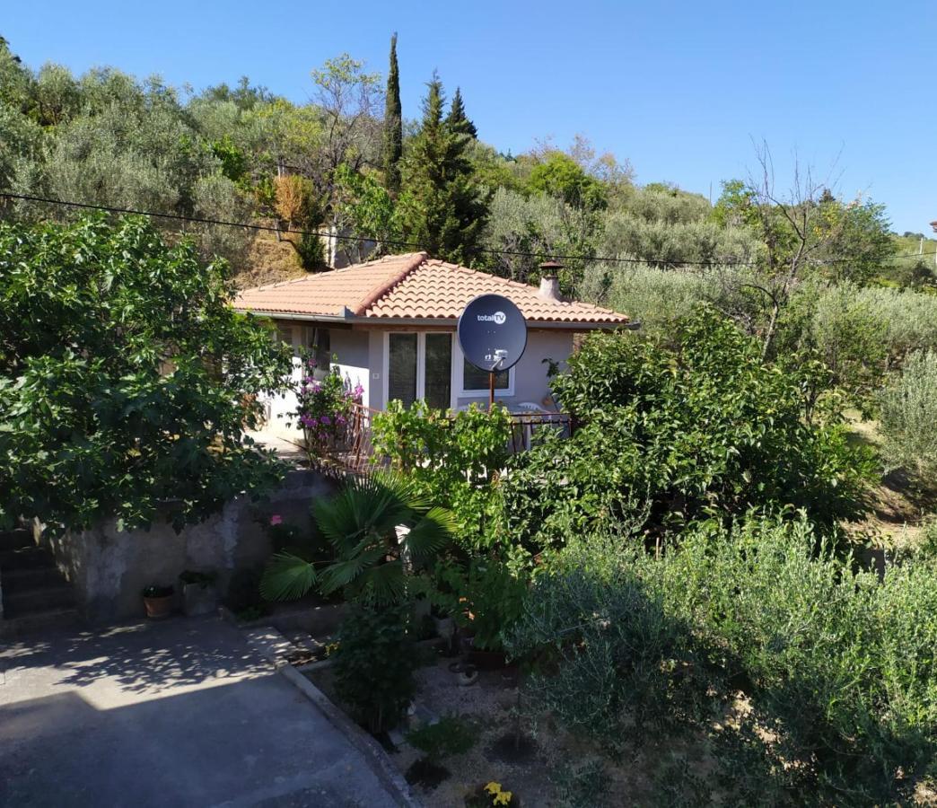 Lili House Apartment Portoroz Exterior photo